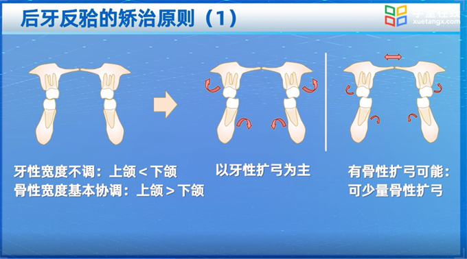 3课程视频动画.jpg