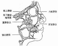 颌面部炎症